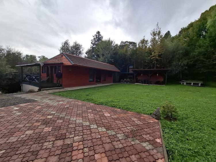 Cabana Zona Turistica Bistra Muresului - 5