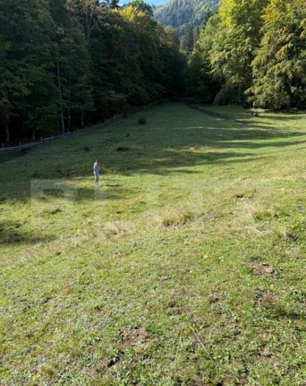 Teren intravilan 28 Ari zona Colibita - 1