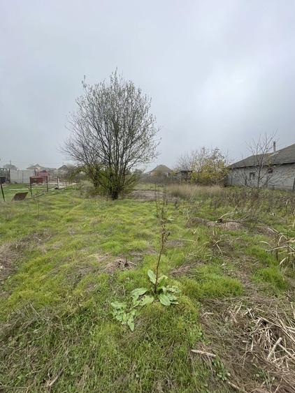 Teren intravlian Mihail Kogalniceanu - 1