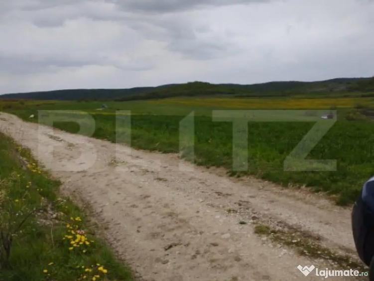 Teren extravilan 3621 mp, in Petrestii de Mijloc - 3