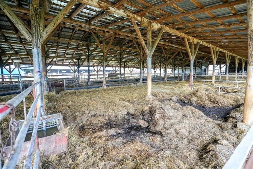 Film&Tur! Domeniu pe 222.000mp+ Ferma +Anexe specifice+Constructie+
rezidential - 52