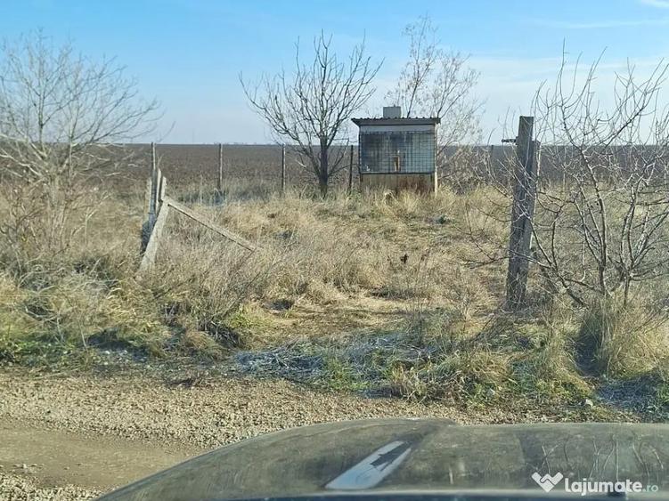 Teren de vanzare intravilan Odaia Manolache 812mp - 2