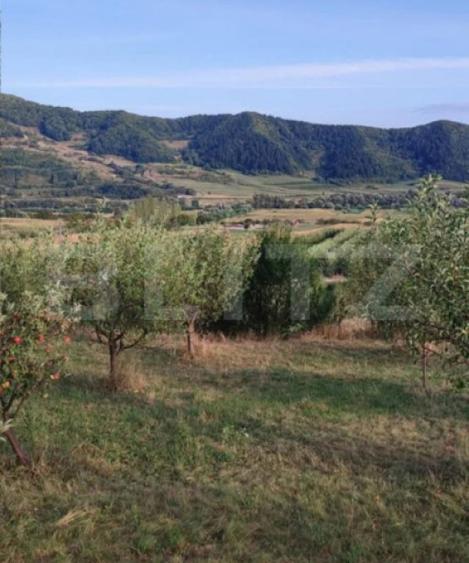 Teren cu livada 120 pomi,imprejmuit 33Ari,intravilan,zona Na - 2