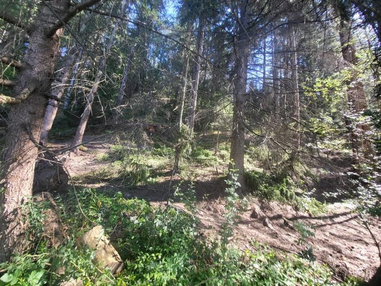 Teren, Ideal pentru Investitie Sau Dezvoltare - 4