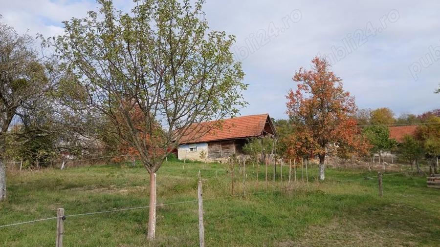 Loc de casa cu livada ?i corp de cladire - 8