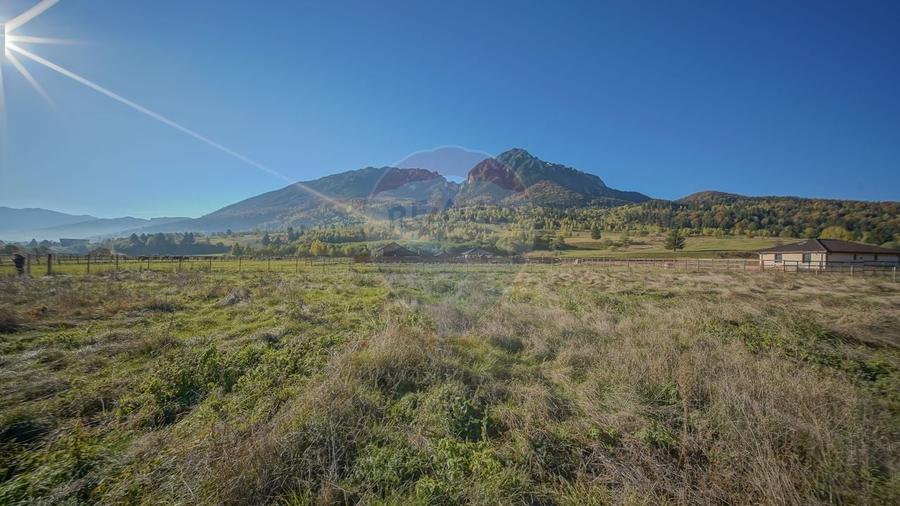 Teren cu priveliște de vis și curent trifazic – Plaiul Foii - 5