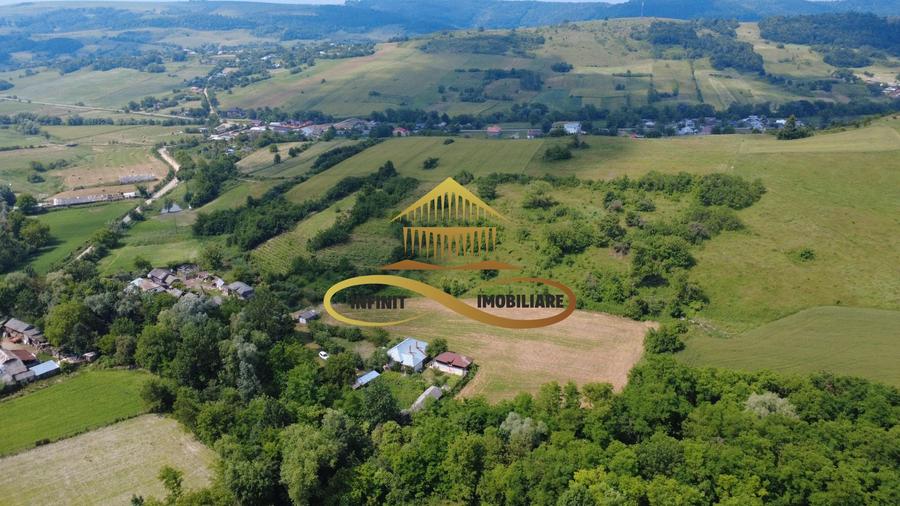 Casa batraneasca cu 2ha de teren de vanzare in sat Balaia / Bacau - 28