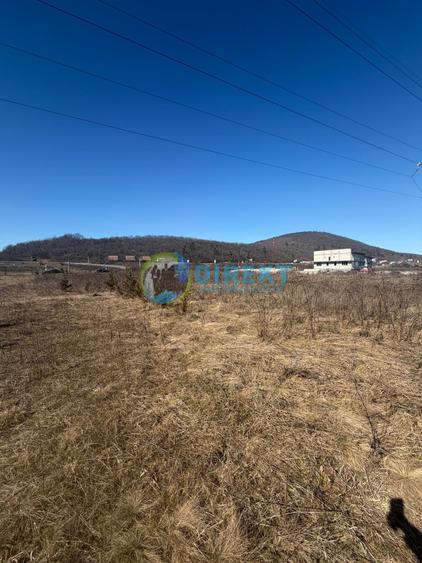 Teren Construcții intravilan de 9236 mp, în Sărățel