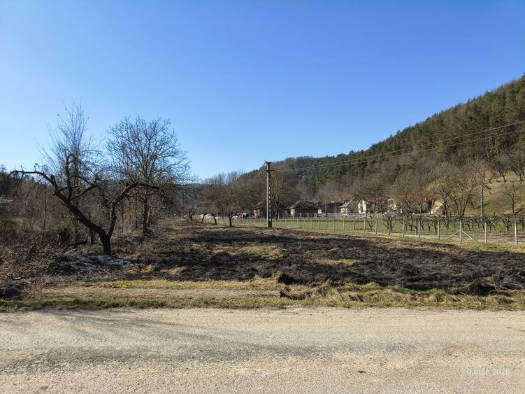 Vand teren intravilan Buciumi, 500e/ar fix. - 7