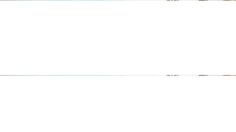 Duplex autorizat Timisoara - incepi constructia imediat- Teren 435 m - 6