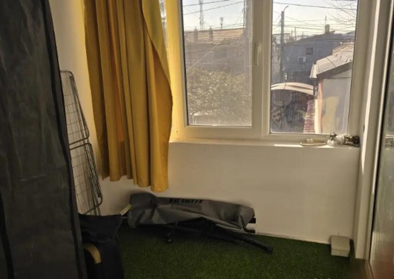 Proprietar,Casa 4 camere foarte mari,Rosu,Chiajna,Alexandru Ioan Cuza - 11