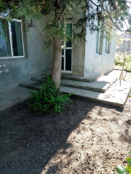 Casa de vanzare schimb Corabia , langa Dunare - 5