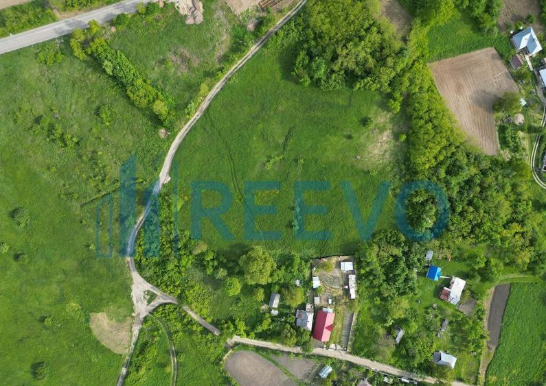 Teren de vanzare, Com. Racova, Str. Bradului, Bacau - 3