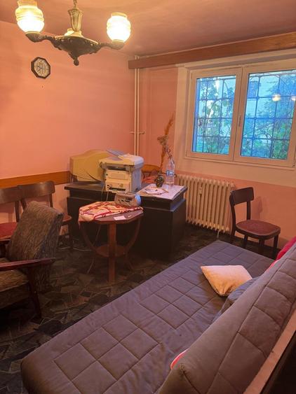 PIATA VICTORIEI ADIACENT DIN BD. TITULESCU, VERONICA MICLE - 14