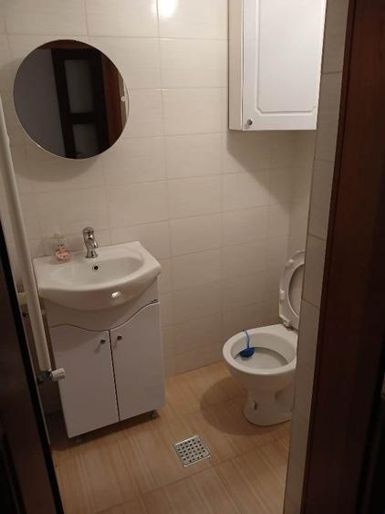 Inchiriere Vila individuala Berceni-Giurgiului - 37