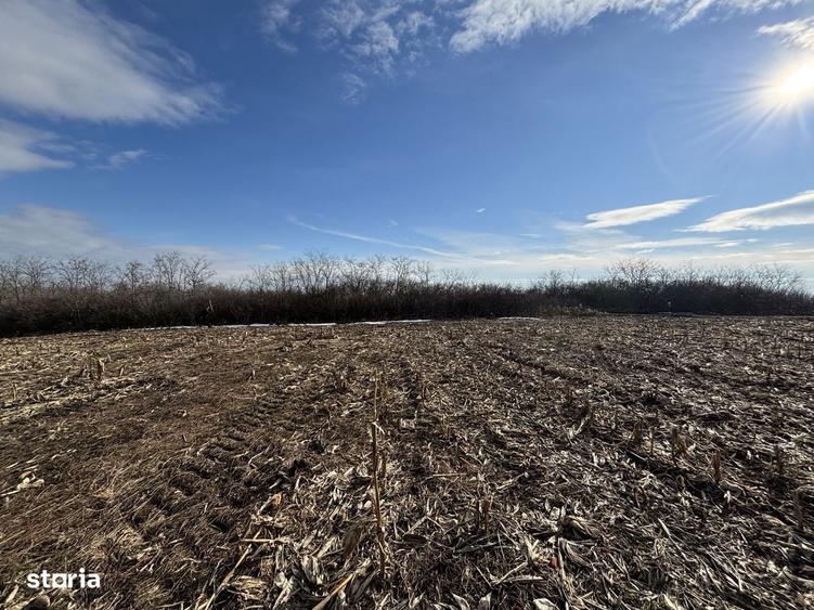 Teren Valea Fanatelor-5 km Auchan - 2