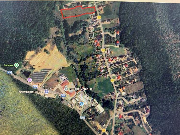 Teren de vanzare in Budeasa - 1