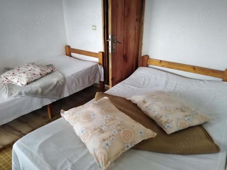 cazare la vila in costinesti - 16