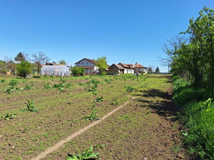 Casa/Teren ~ comuna Smeeni/BZ ~ teren 2878mp ~ Pret: 40.000€ - 3