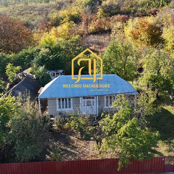 Casa de vanzare in Gorban cu 1000 mp de teren - 2