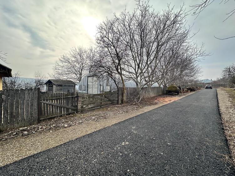 Hala/ cort ciupercarie, crestere pui, 400mp, Dumesti - 7