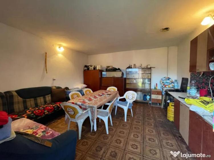 Investitie pentru liniste si oaza de verdeata - 14