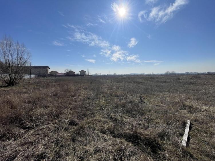 GIULESTI | Teren intravilan PUZ V3a2 9000mp ideal terenuri de sport - 6