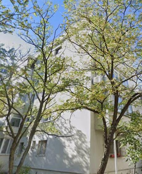 Colentina,Rau Fundeni,Maior Vasile Bacila - 1