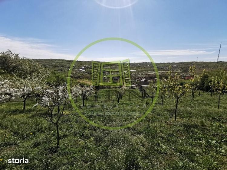 Casă cu 2 camere în Sântandrei