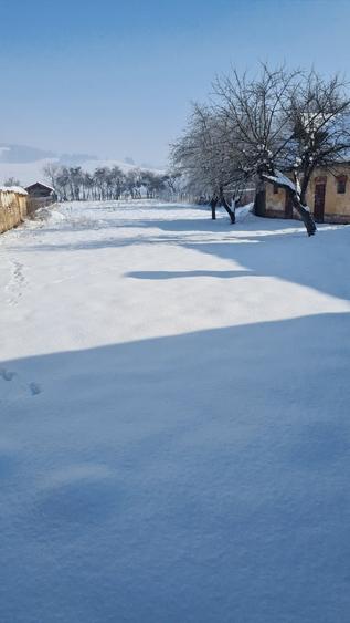 Casa in SANPETRU, str. Meschendorfer nr 402 - 8