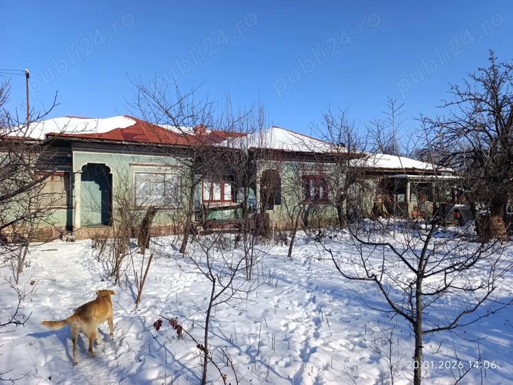 Vand casa la tara - 3