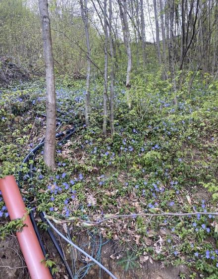 Teren Valea Rosie - 1