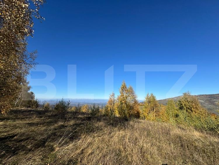 Teren agricol extravilan de 18769 mp, în Orăștie