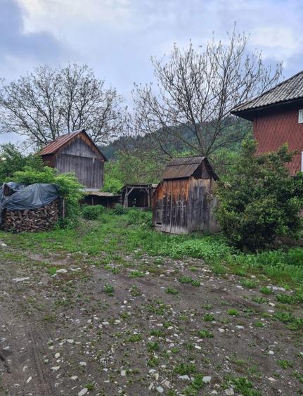 Vand casa in Moisei + 10 ari de teren - 1