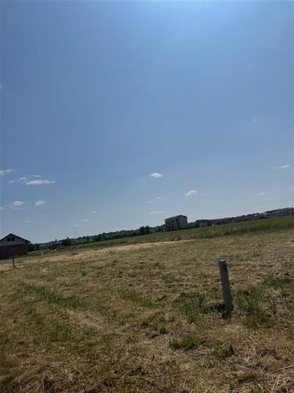 RECO terem?n Paleu - 2