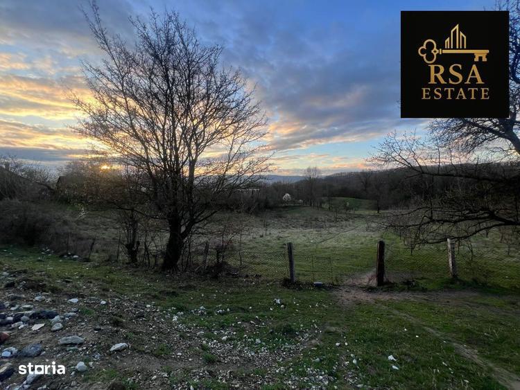 Teren de vanzare 2200 mp Goranu Izlazului Valcea, acces Feteni, prive - 5