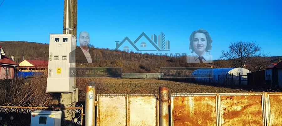 Teren intravilan 3129 mp | Deschidere 28 ml / Lespezi – Homoc - 5