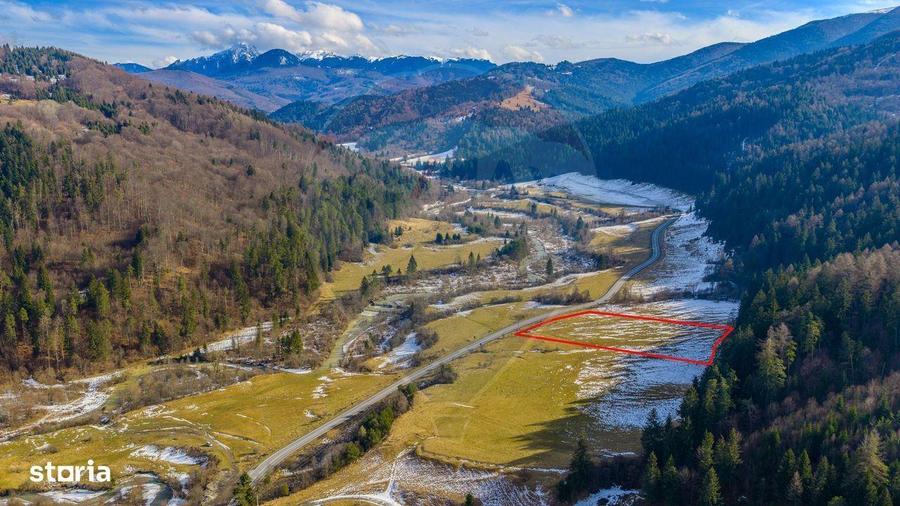 Comision 0% | Teren 10,000mp Sacele / Strada Barajului - 6