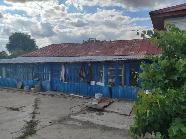 Vanzare casa - magazin - Licuriciu, Calinesti - Teleorman - teren 1400mp - 5