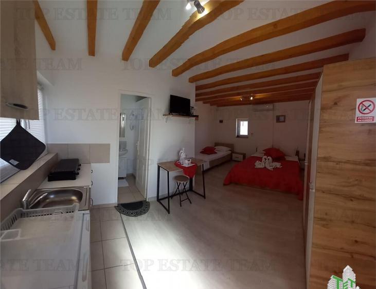 VILA TURISTICA SUPERBA COSTINESTI - 6