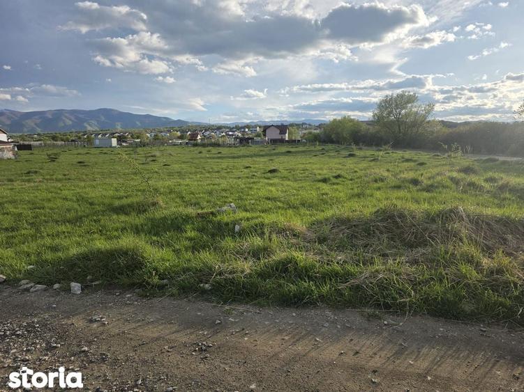 Teren intravilan de va^nzare Calea Cisna?diei, zona Cartierul Arhite - 4