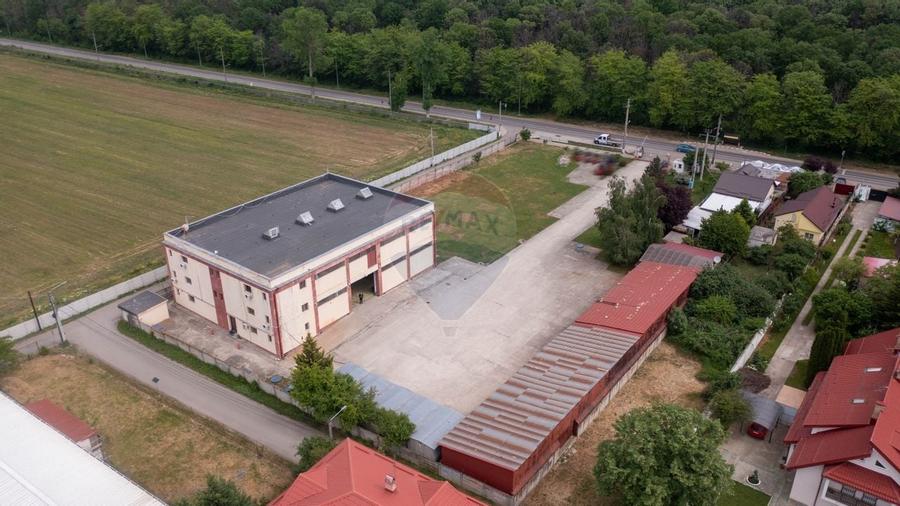 Oportunitate de investitie-vanzare spațiu industrial 6500mp, Cernica - 1