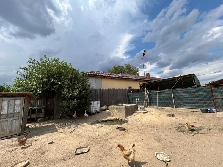 Casa Parter, 1432 MP teren,140 utili , Isalnita - 11