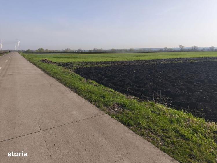 Teren extravilan, 9300mp, 55ml deschidere la drum, Satu Mare, Radauti - 1