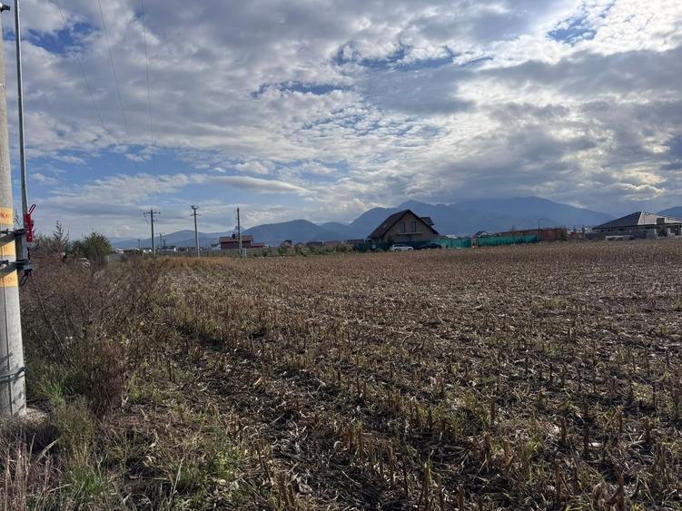 Teren dezvoltare rezidentiala Tarlungeni - zona Izvor - 7