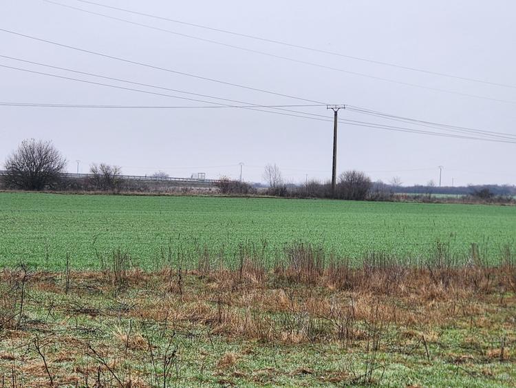 Vand teren agricol extravilan în Giroc - 1