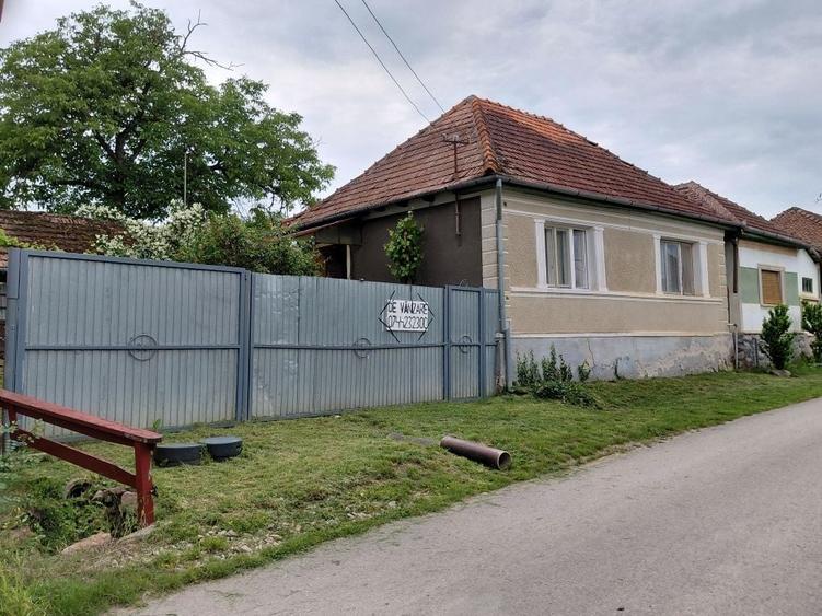 Casa vacanta de vanzare - 2