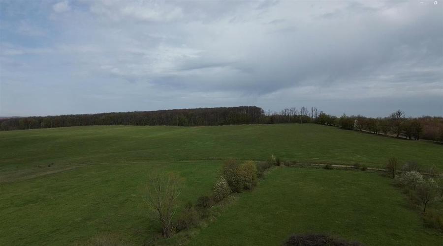 Teren intravilan 5800 mp Mitocasi - Suceava! - 4