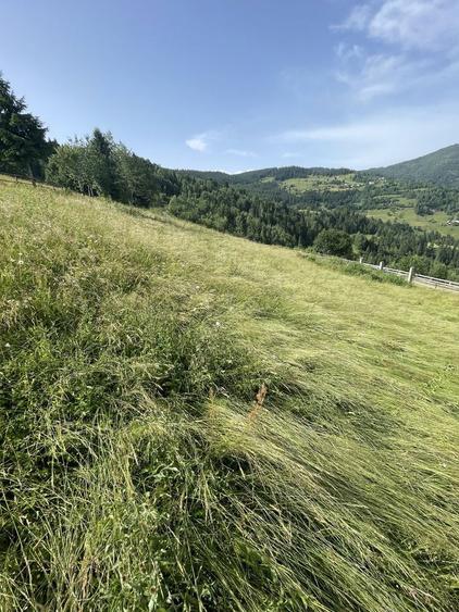 Vand teren + casa veche, suprafata 4000 mp situat langa drum principal - 3