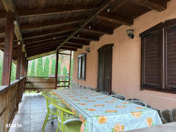 Cabana de vis in inima naturii Valea Bratcutei, jud. Bihor - 4